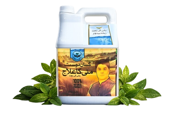 untitled design removebg preview